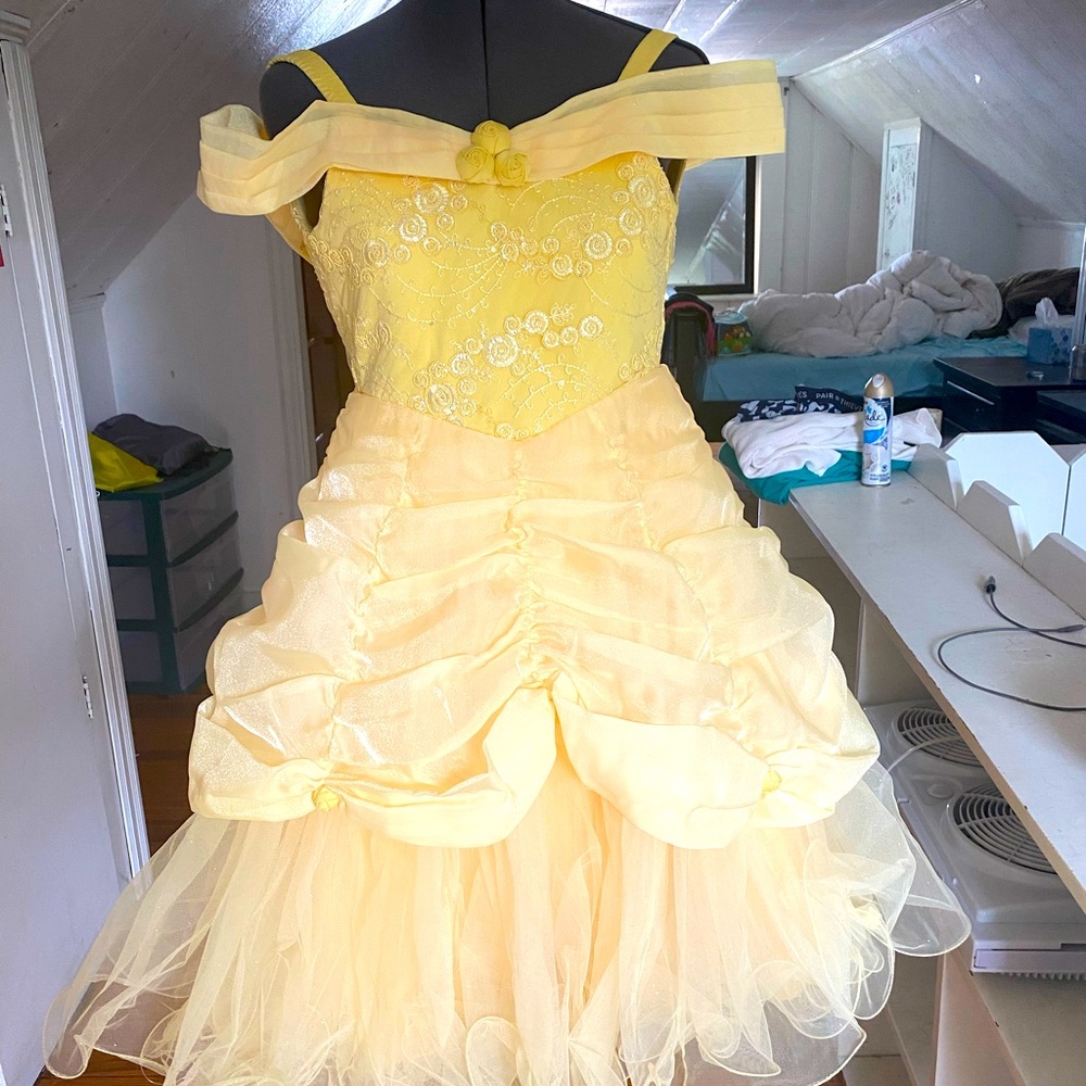 Disney Princess Signature Collection dress